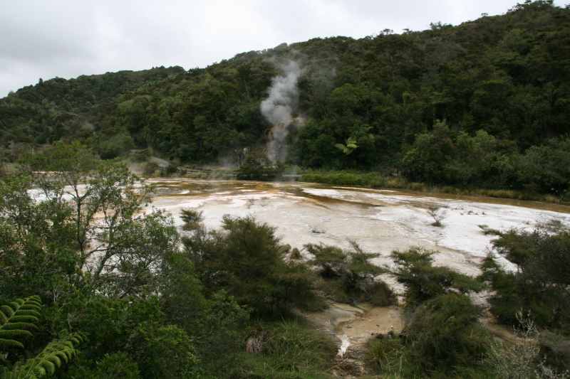 Nieuw-Zeeland 2011 - 0731